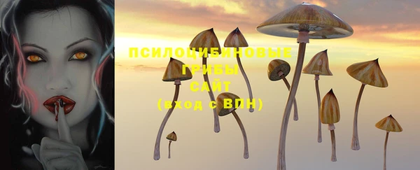 амф Абинск