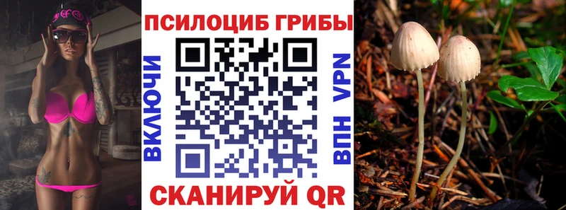 Псилоцибиновые грибы Cubensis  Цимлянск 